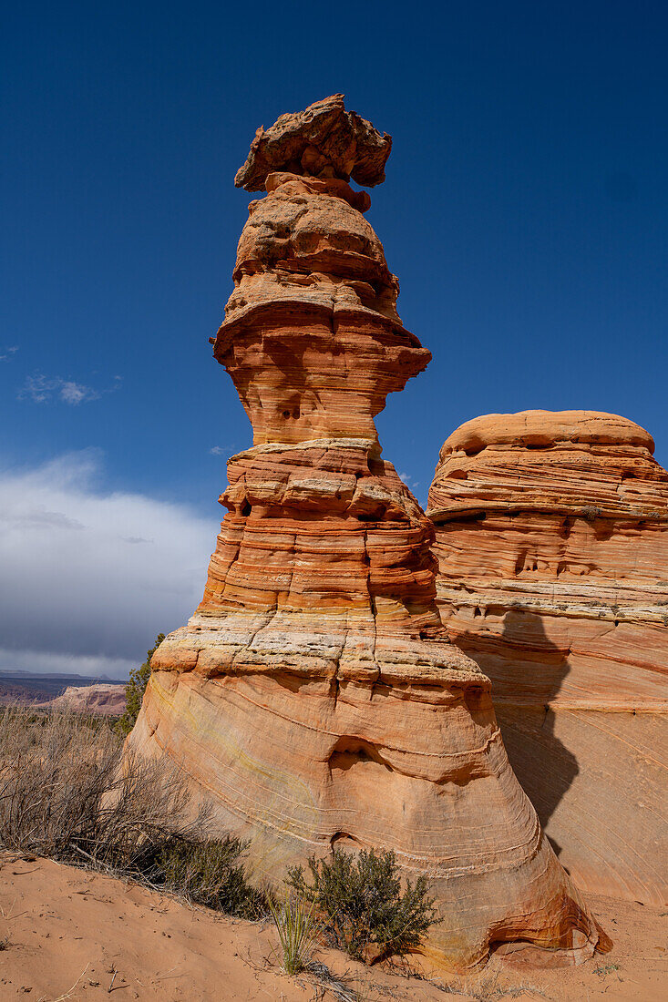 The Chess Queen or Totem Pole is an eroded sandstone tower near South Coyote Buttes, Vermilion Cliffs National Monument, Arizona.