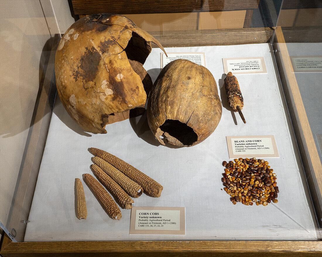 Ausstellung prähispanischer Lebensmittelartefakte, darunter Kürbis und Mais, im USU Eastern Prehistoric Museum in Price, Utah