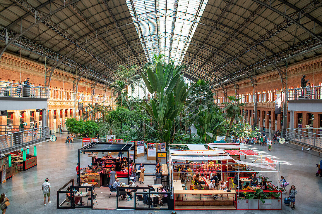 Gewächshaus in der Principal Hall. Bars und Restaurants im Atocha-Bahnhof in Madrid, Spanien