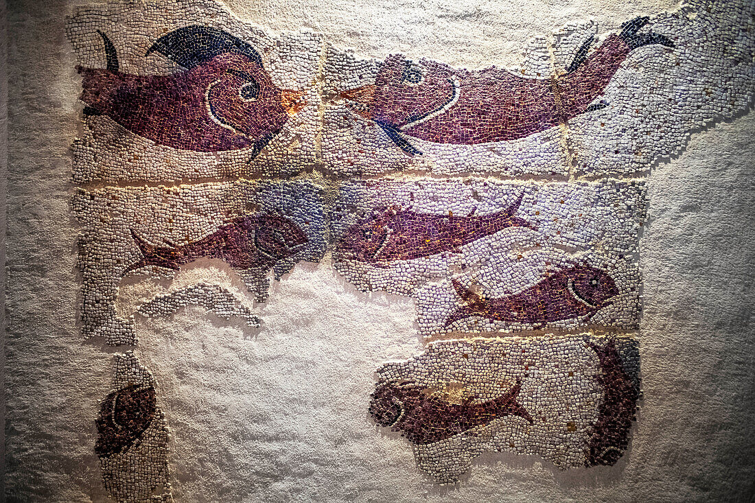 Fishes mosaic from IV century Inside of the Madrid Regional Archaeological museum in Alcala de Henares, Madrid province, Spain.