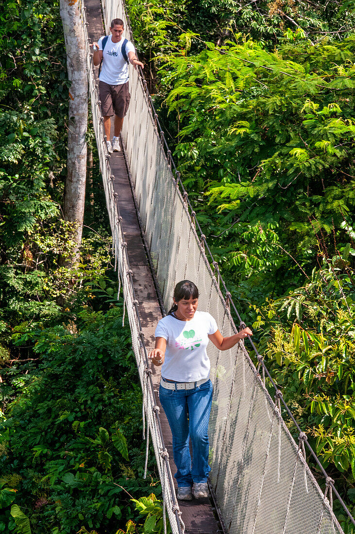 Elevated canopy walk hanging bridges. A rain forest canopy walkway in the Amazon forest tambopata national park, at the Inkaterra amazonica reserve. Visitors have a birds eye view from the Amazon jungle canopy walkway at river napo camp Explorama tours in Peru. Iquitos, Loreto, Peru. The Amazon Canopy Walkway, one of the longest suspension bridges in the world, which will allow the primary forest animals from a height of 37 meters and is suspended over the 14 tallest trees in the area.