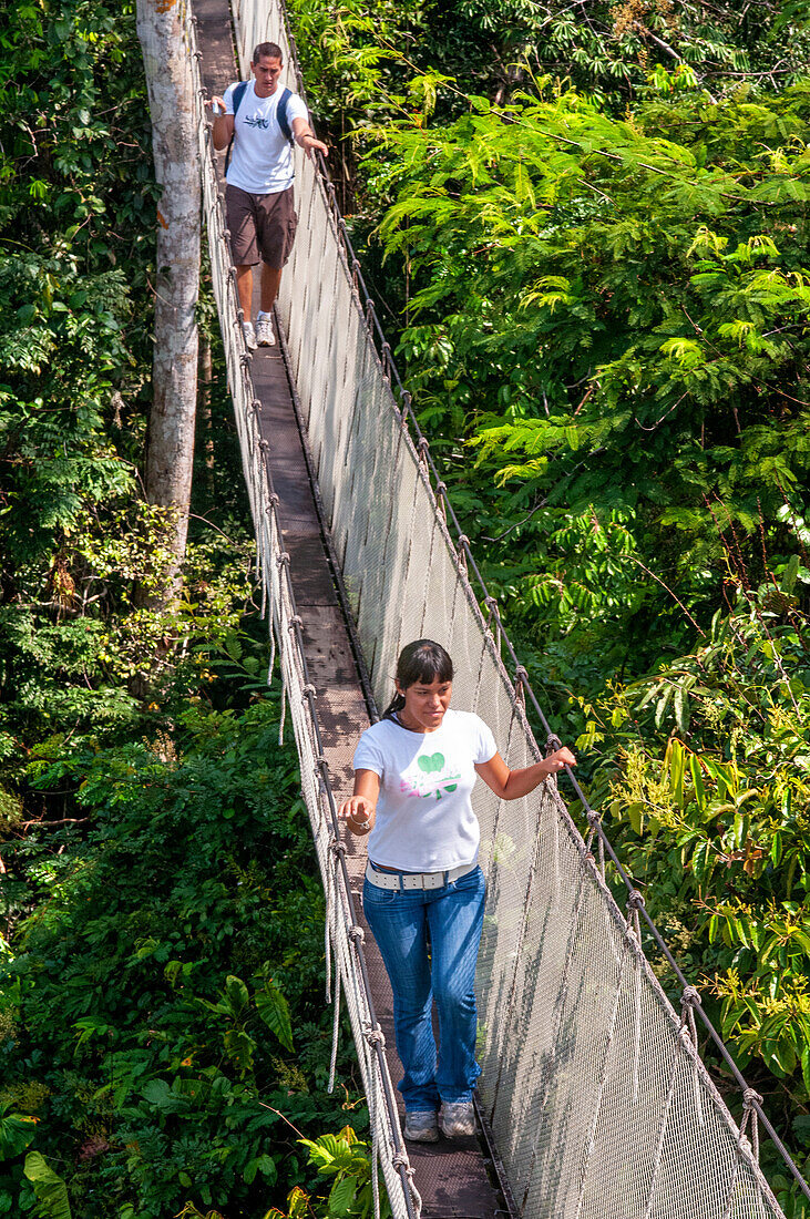 Erhöhte Hängebrücken. Ein Regenwald-Hängebrückenweg im Tambopata-Nationalpark im Inkaterra-Amazonica-Reservat. Besucher haben einen Blick aus der Vogelperspektive von der Amazonas-Dschungel-Brücke am Fluss Napo Camp Explorama Tours in Peru. Iquitos, Loreto, Peru. Der Amazon Canopy Walkway, eine der längsten Hängebrücken der Welt, die es ermöglicht, die Tiere des Primärwaldes aus einer Höhe von 37 Metern zu beobachten, und die über den 14 höchsten Bäumen des Gebietes aufgehängt ist