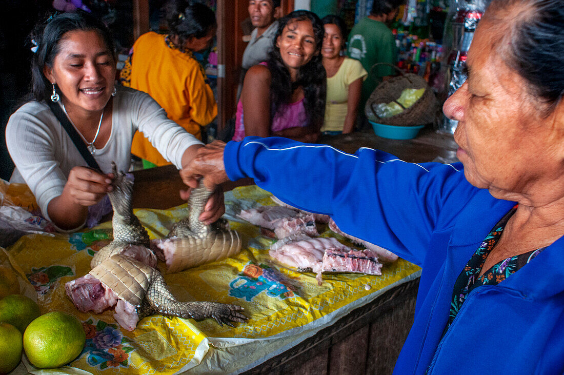 In the market town of Indiana you can buy alligator or crocodile meat, Iquitos, Loreto, Peru