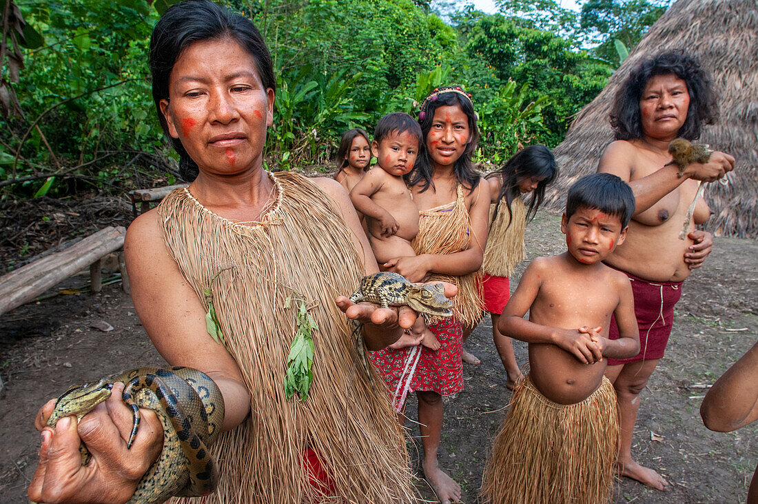Schlange und Krokodil als Haustiere, Yagua-Indianer leben ein traditionelles Leben in der Nähe der amazonischen Stadt Iquitos, Peru