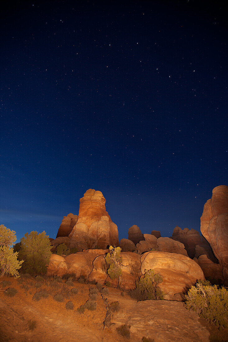 The North Star & the BIg Dipper above a sandstone tower in the Needles District of Canyonlands National Park in Utah.