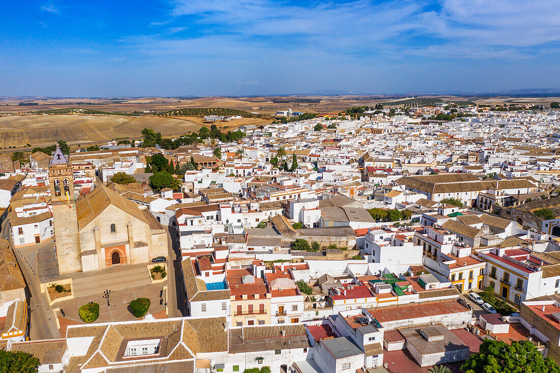 Luftaufnahme der Iglesia de San Juan Bautista in der Altstadt von Marchena in der Provinz Sevilla in Andalusien im Süden Spaniens. Kirche St. Johannes der Täufer