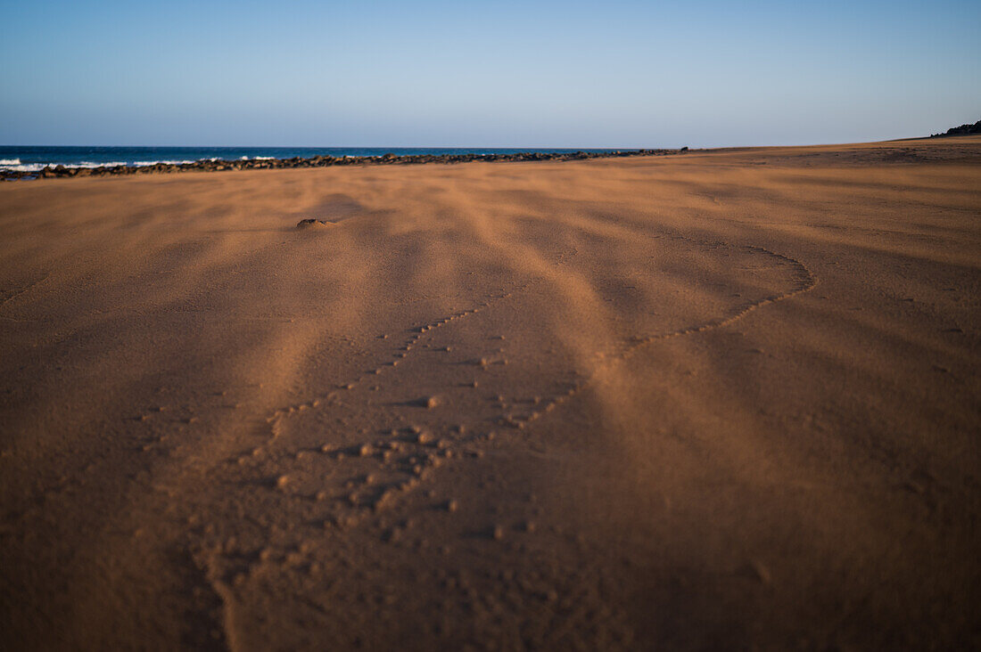 Wind weht Sand an einem Strand in Lanzarote, Kanarische Inseln, Spanien