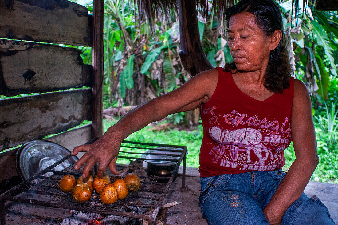 Frau bei der Zubereitung von Pijuayo-Palmenfrüchten am Feuer nach traditioneller Methode in Timicuro I, Iqutios peruanischer Amazonas, Loreto, Peru