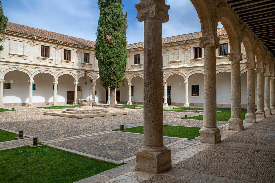 Fassade des Universitätsgebäudes von Alcala de Henares, Provinz Madrid, Spanien. Patio Mayor der Antigua Universidad oder Colegio de San Ildefonso aus dem 17. Das Schwanenmotiv auf dem Brunnen ist das Emblem von Kardinal Cisneros, dem mächtigen Kleriker und Staatsmann, der die Universität gründete (cisne bedeutet auf Spanisch Schwan). Die Universität und das historische Viertel von Alcala de Henares gehören zum UNESCO-Weltkulturerbe.