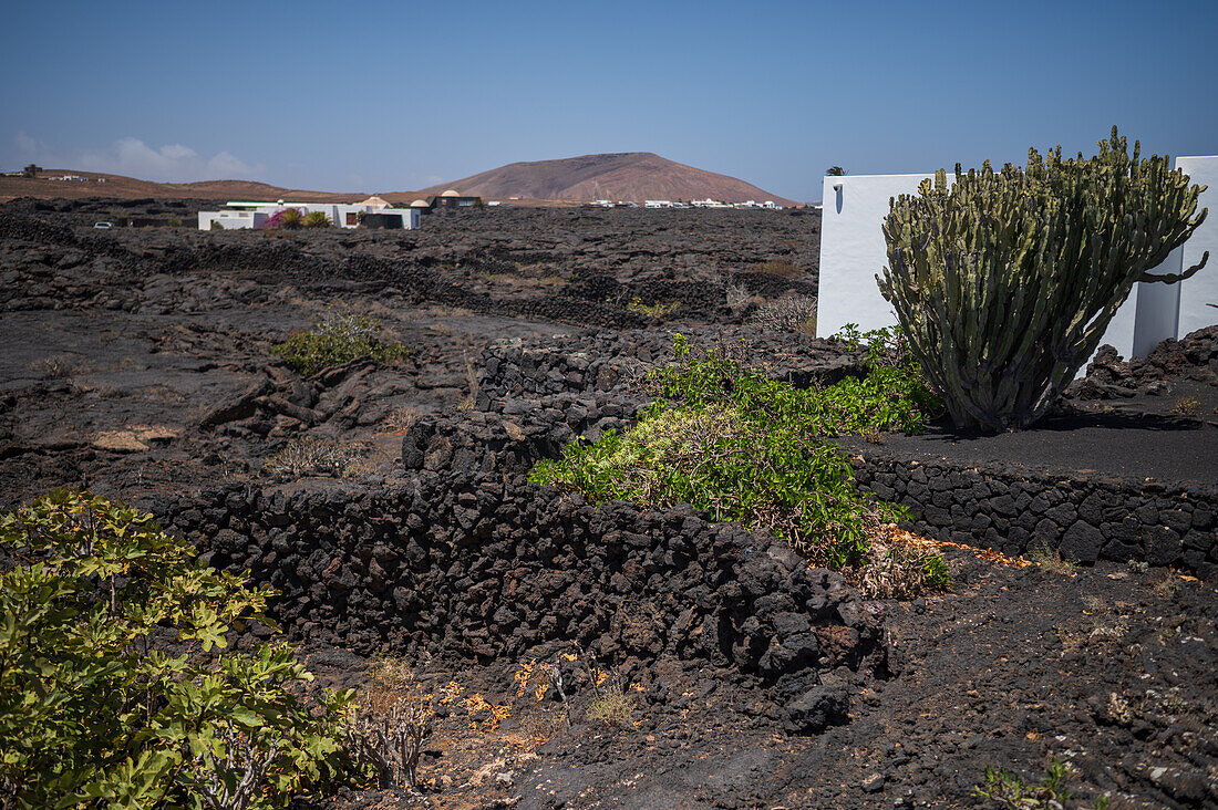 Lanzarote, Canary Islands, Spain