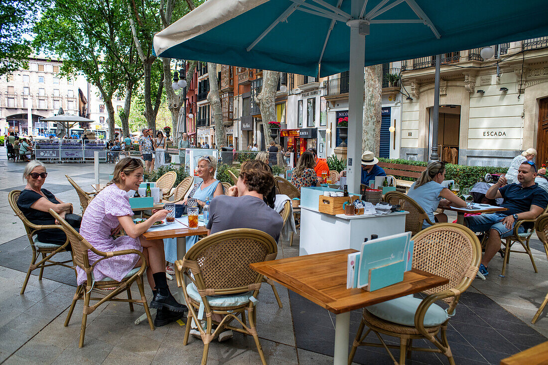 Bars and restaurants in Paseo del Borne or Paseo del Borne, Passeig des Born promenade, Palma de Majorca, Majorca, Balearic Islands, Spain