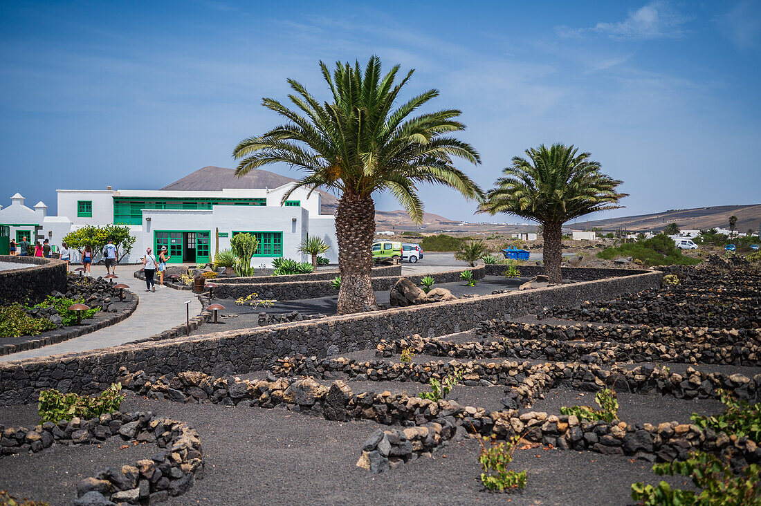 Casa Museo del Campesino (Haus des Bauern), entworfen von César Manrique auf Lanzarote, Kanarische Inseln, Spanien