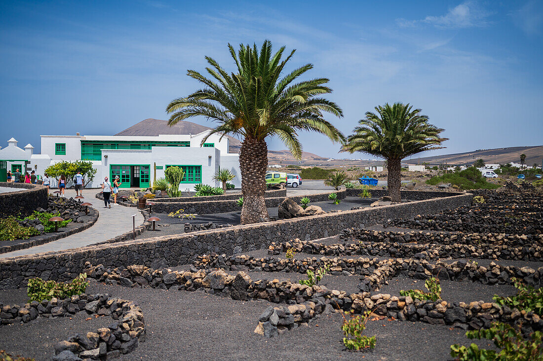 Casa Museo del Campesino (House museum of the peasant farmer) designed by César Manrique in Lanzarote, Canary Islands Spain