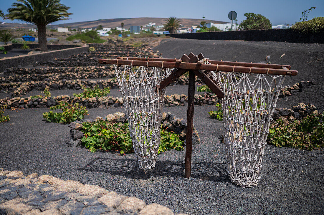 Casa Museo del Campesino (Hausmuseum des Bauern), entworfen von César Manrique auf Lanzarote, Kanarische Inseln, Spanien