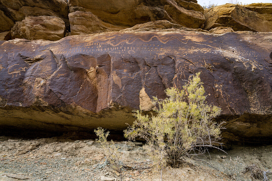 A pre-Hispanic Native American petroglyph rock art panelwith a horned snake in Nine Mile Canyon in Utah.