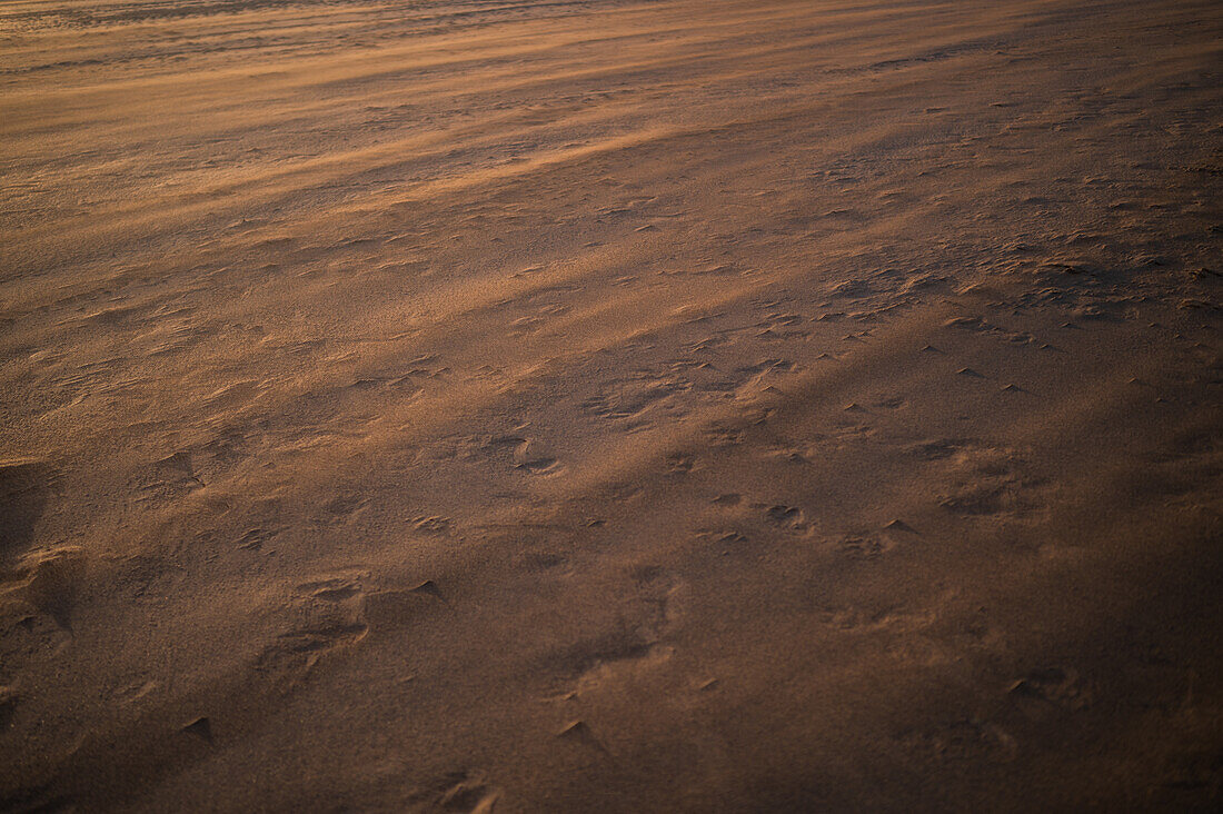 Wind blows sand on a beach in Lanzarote, Canary Islands, Spain