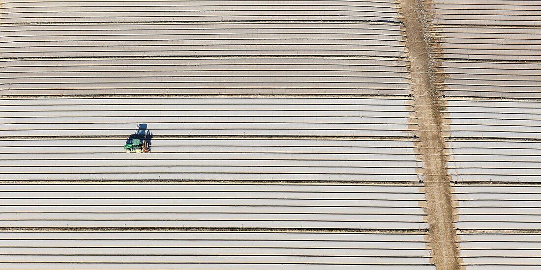 Frankreich, Vendee, Maché, Traktor, der ein Feld für den Gemüseanbau vorbereitet (Luftaufnahme)