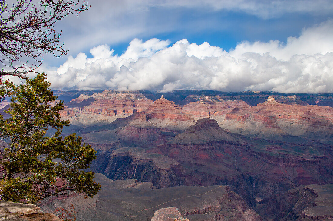 im Grand-Canyon-Nationalpark, Arizona