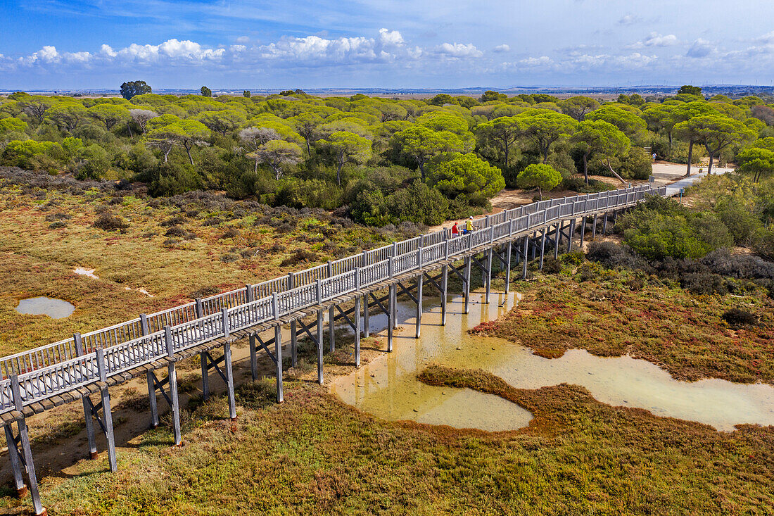 Aerial view on marshlands and saltworks, Bahia de Cadiz Natural Park. Costa de la Luz, Cadiz province, Andalucia, Spain. The wooden bridge over the San Pedro River also referred to as Puente de la Algaida or Puente Mirador Río San Pedro is a pedestrian walkway that joins the banks of the Spanish municipalities of Puerto de Santa María and Puerto Real, crossing the San Pedro River. Pedro, a sea arm of the Atlantic Ocean.