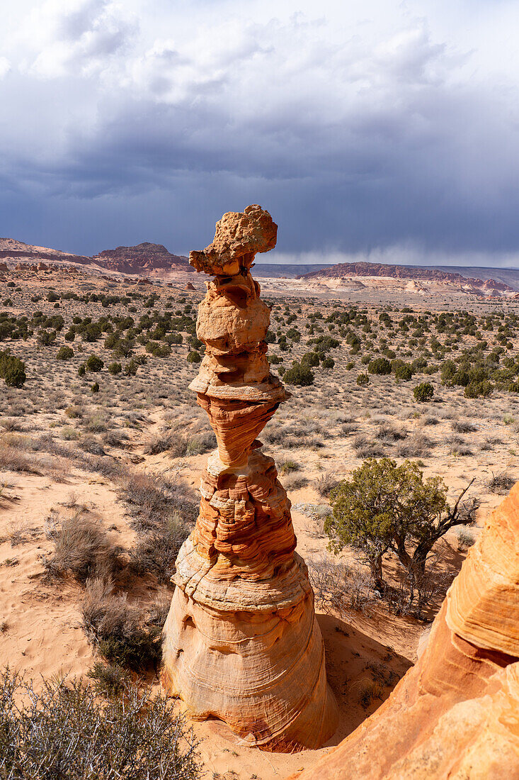 The Chess Queen or Totem Pole is an eroded sandstone tower near South Coyote Buttes, Vermilion Cliffs National Monument, Arizona.