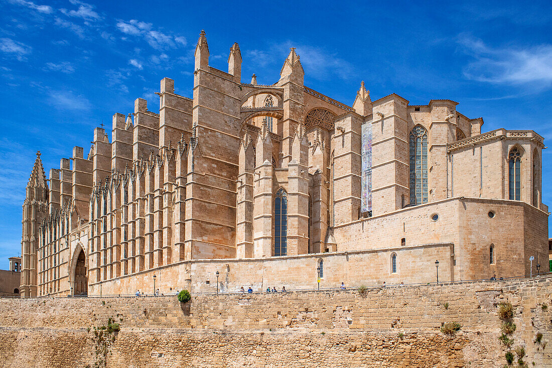 Kathedrale Santa Maria Palma Majorca in der Altstadt von Palma de Majjorca, Balearen, Spanien