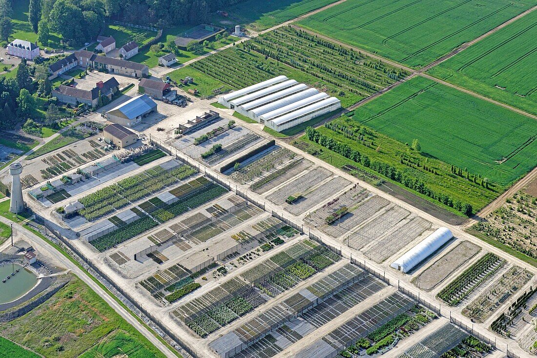 France, Yonne, city of Pont sur Yonne, Tree nursery (aerial view)