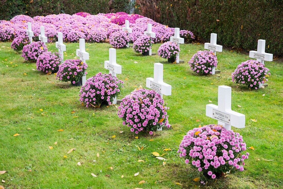 France, Hauts de Seine, Puteaux, the New Cemetery, graves and chrysanthemums