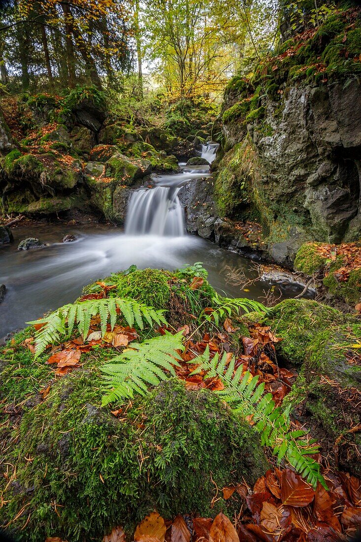 France, Puy de Dome, regional natural park of Auvergne volcanoes, Besse en Chandesse, Chiloza waterfall on Couze Pavin