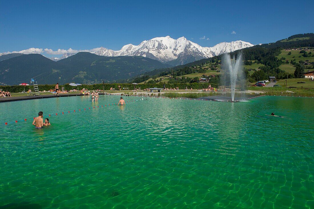 France, Haute Savoie, Mont Blanc, Combloux, the ecological water body and the Mont Blanc massif