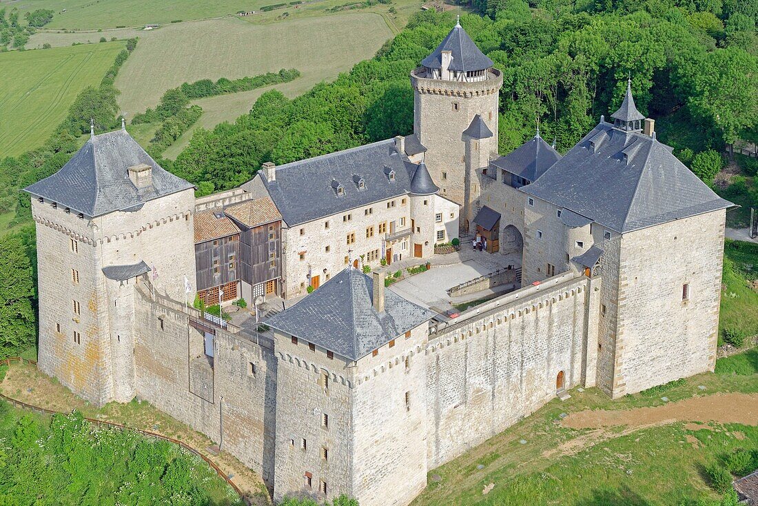 France, Moselle, Manderen, the castle of Malbrouck