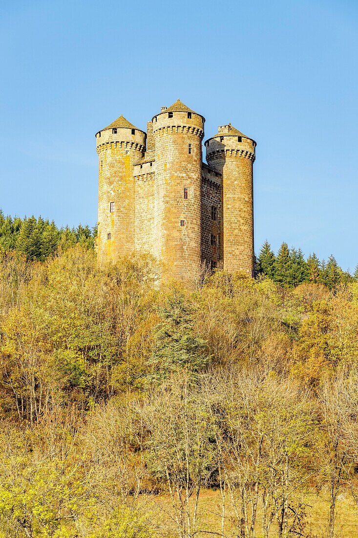 France, Cantal, regional natural park of the volcanoes of Auvergne, country of Salers, Tournemire, labelized the Most Beautiful Villages of France, the castle of Anjony of XVe century