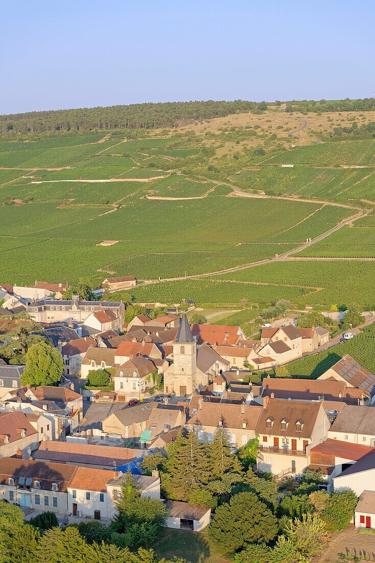 France, Cote d'Or, Cote de Nuits, Vosne Romanee, vineyard Romanee Conti (Aerial view)