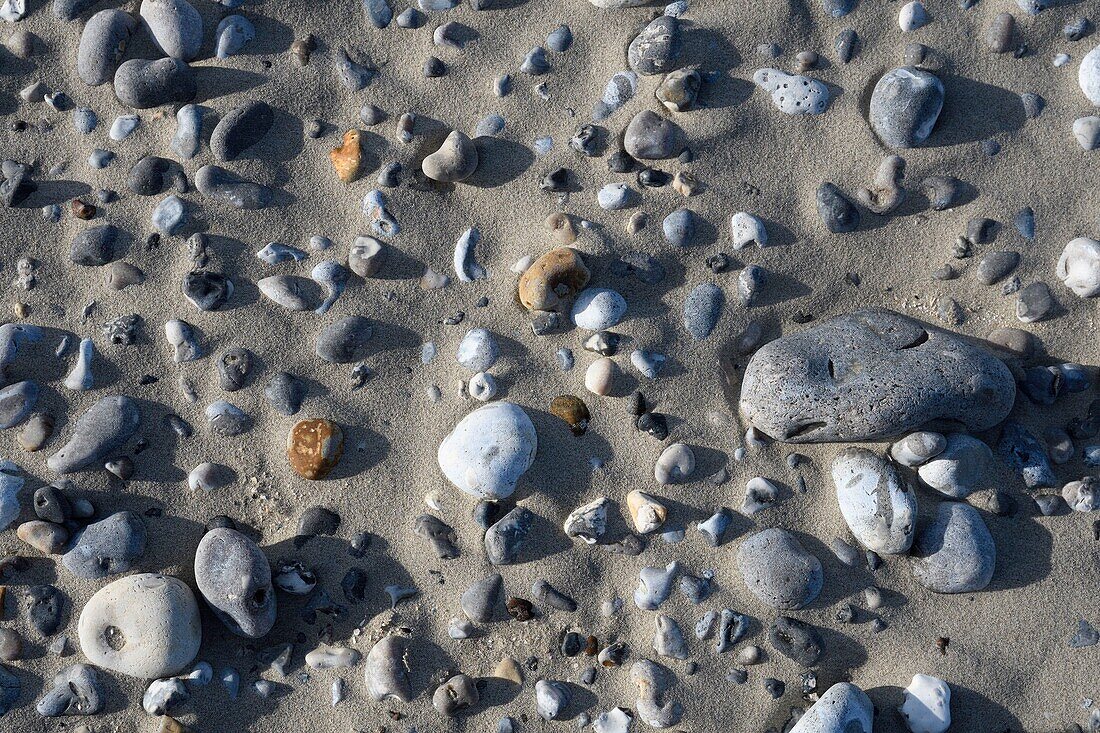 France, Somme, Baie de Somme, pebbles and pebbles in the sand of the beach