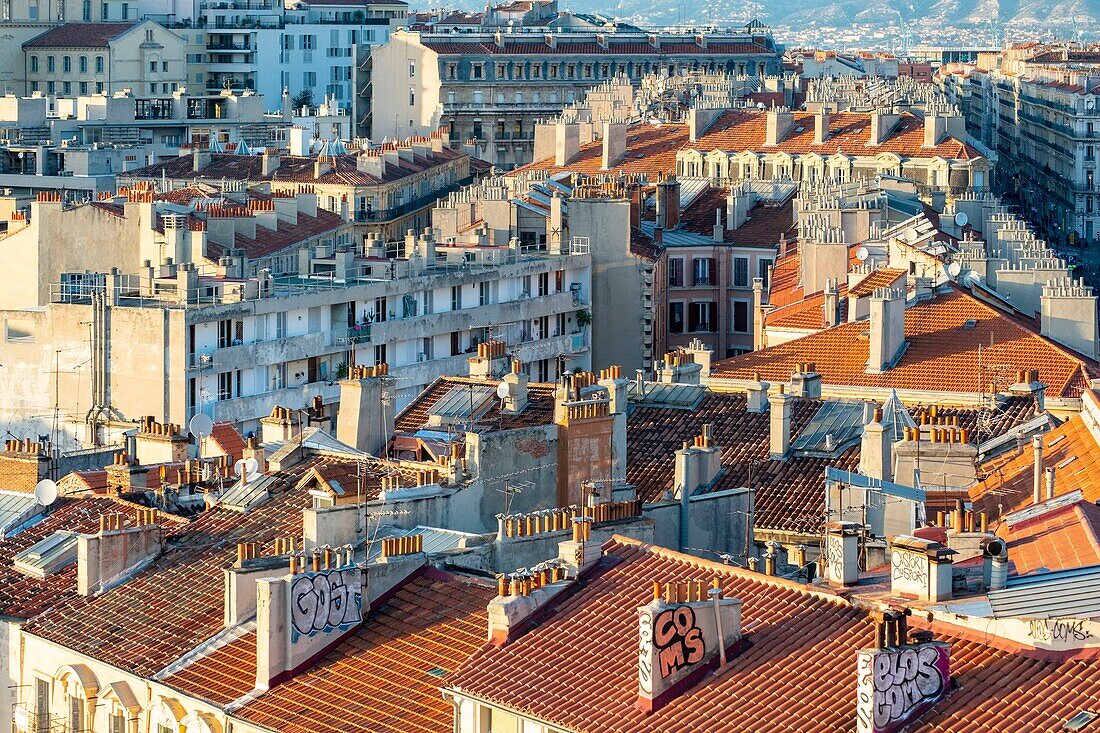 France, Bouches du Rhone, Marseille, the roofs of the city center
