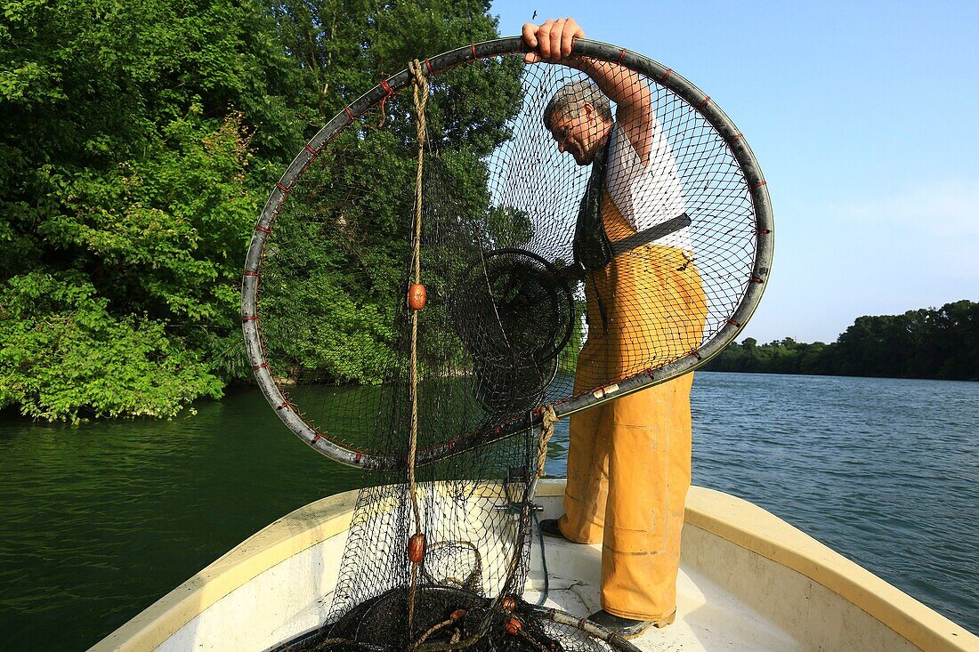 France, Drome, Valence, eel fishing on the Vieux Rhone upstream of Valence