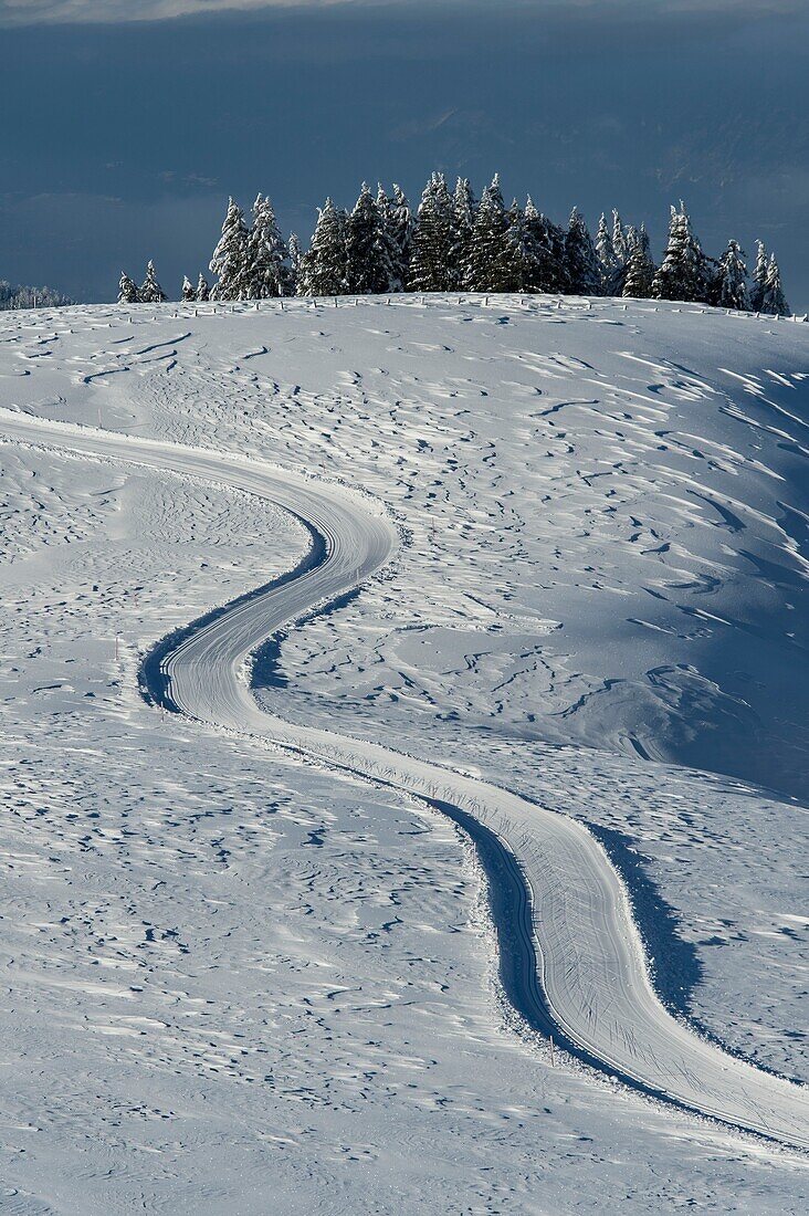 France, Haute Savoie, massive Bauges, above Annecy limit with the Savoie, the Semnoz plateau exceptional belvedere on the Northern Alps, cross country skiing trails south of the plateau