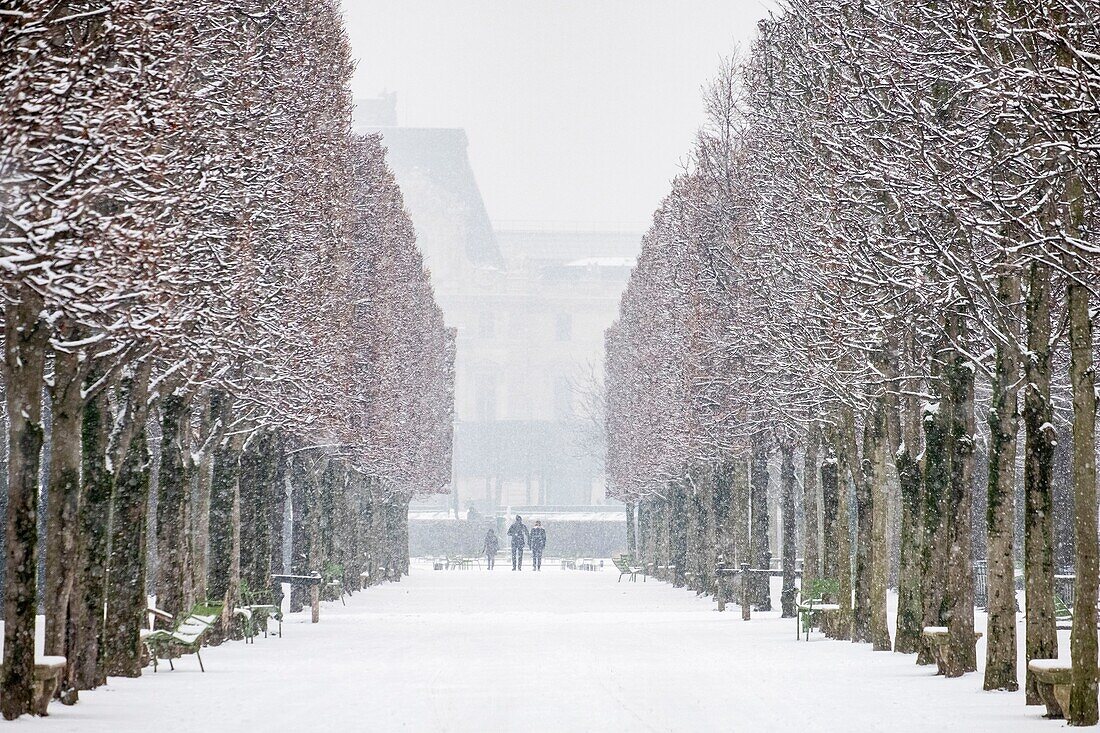 Frankreich, Paris, der Tuileriengarten unter dem Schnee