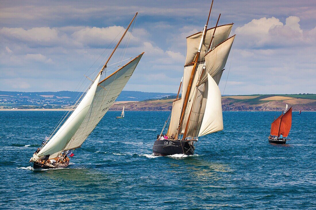 France, Finistere, Douarnenez, Festival Maritime Temps Fête, Pen Duick and La Cancalaise, traditional sailboats on the port of Rosmeur