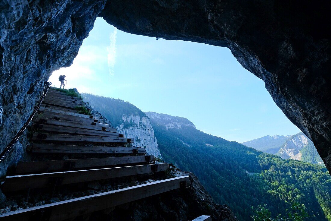 France, Haute Savoie, Thorens-Glières, Pas du Roc stairs