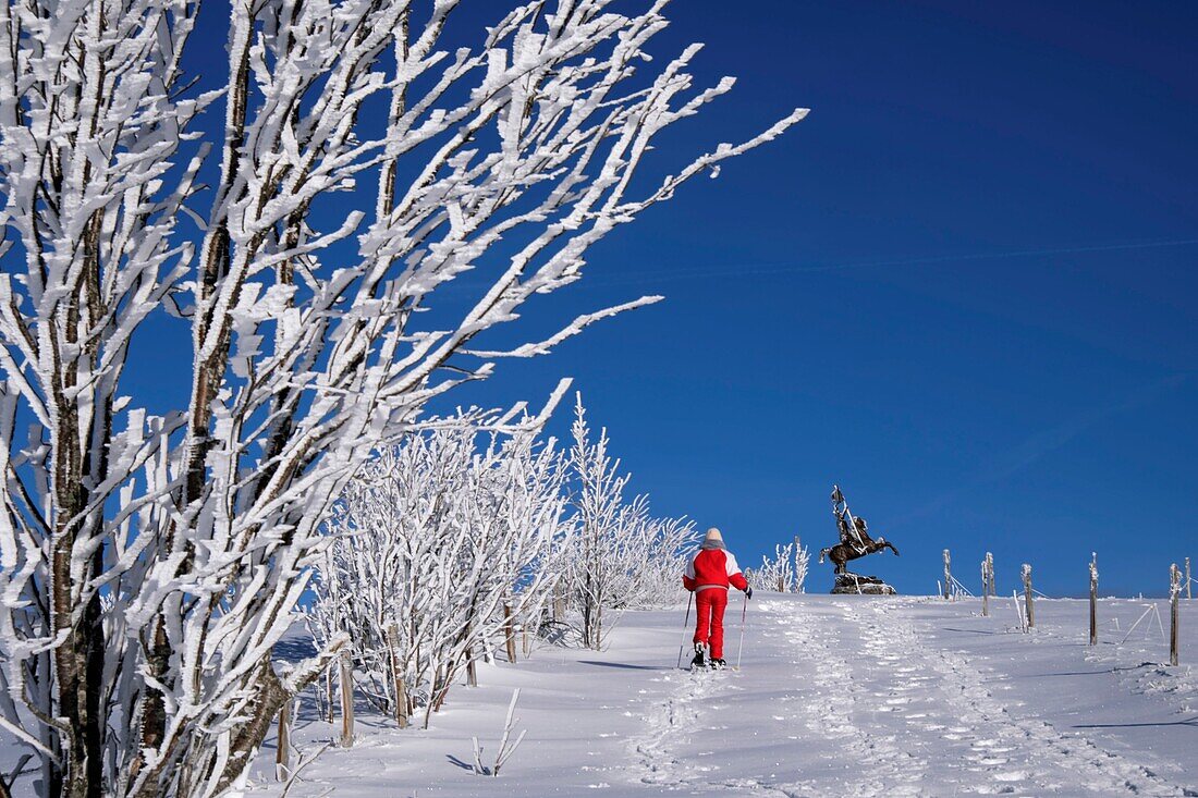 France, Territoire de Belfort, Ballon d'Alsace, summit (1241 m), statue of Jeanne d Arc, snowshoe hike, winter