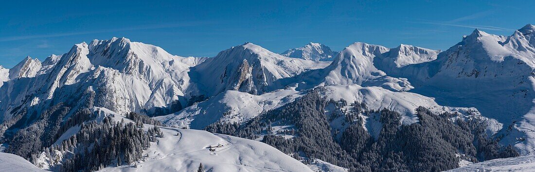 Frankreich, Haute Savoie, Aravis-Massiv, Manigod, Wanderung am Mont Sulens, vom Gipfel Panoramablick auf die Pla des Mouilles, Massif de l'Etale und Mont Blanc