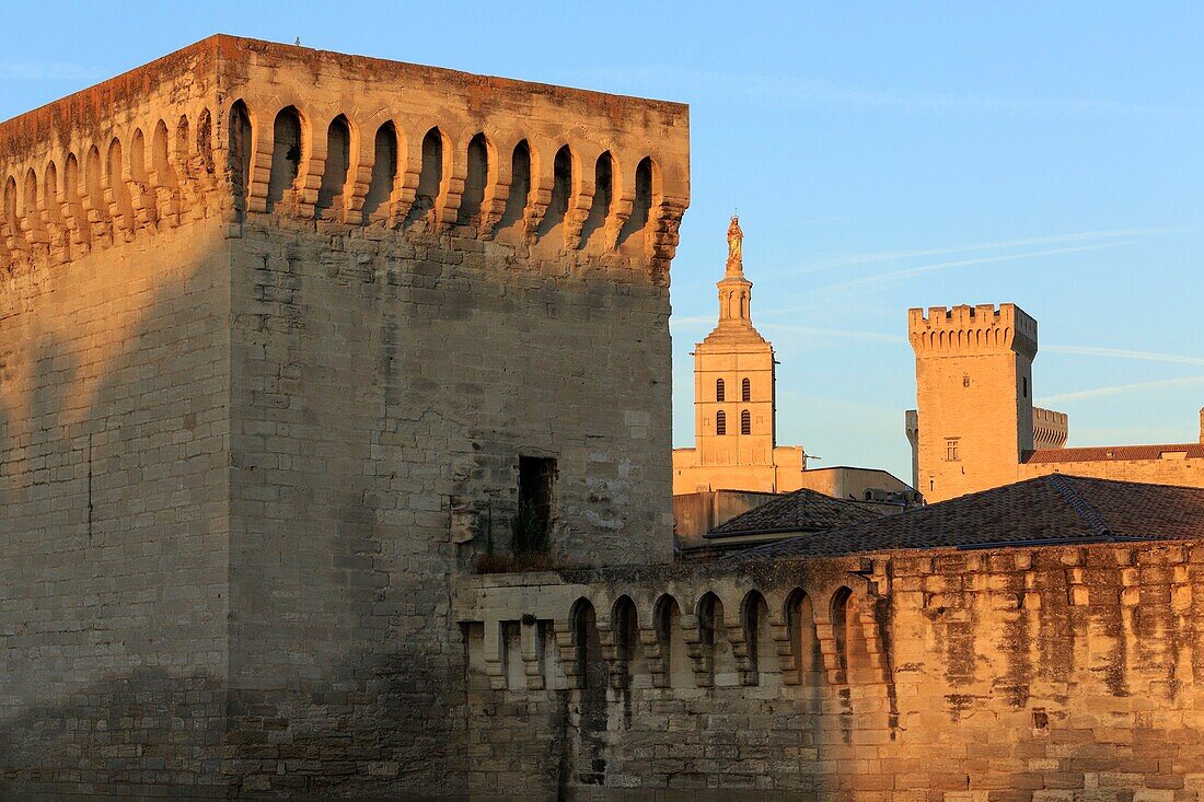 France, Vaucluse, Avignon, the Cathedral of the Doms (12th century) and the Palais of the Popes (14th) listed as World Heritage by UNESCO