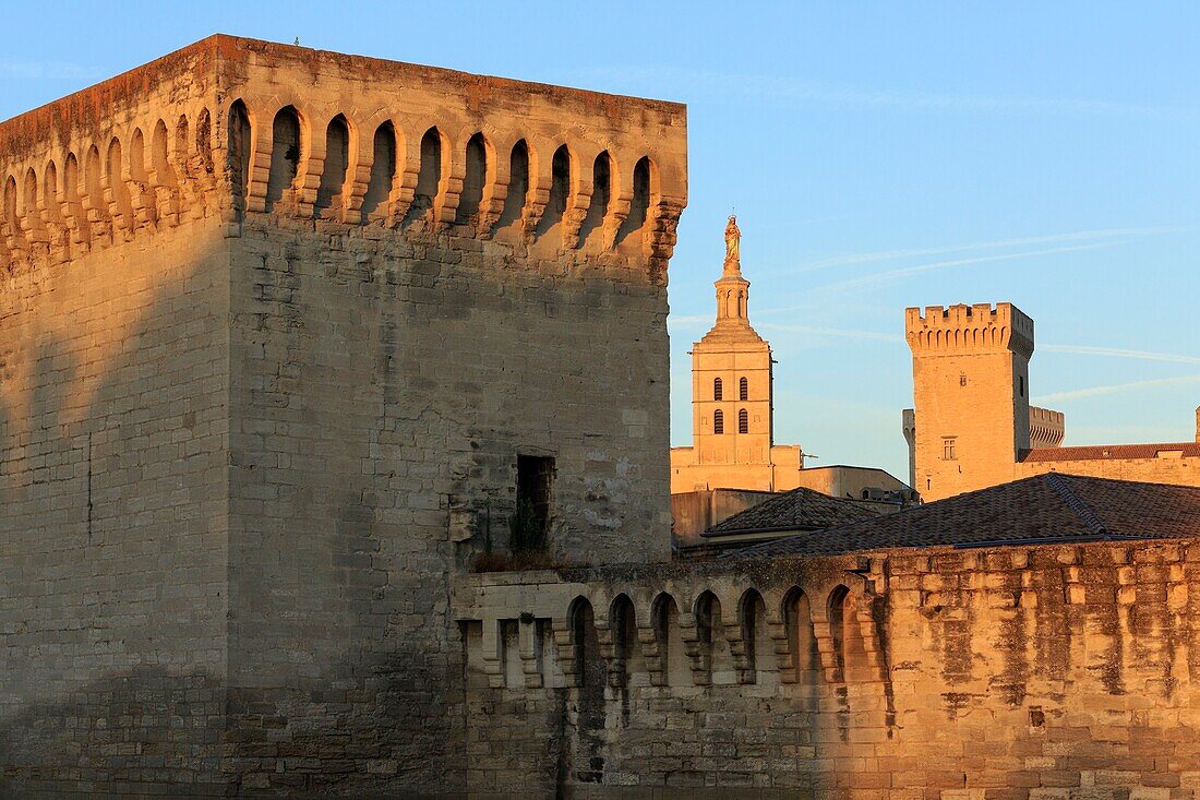 Frankreich, Vaucluse, Avignon, die Kathedrale der Doms (12. Jh.) und der Palast der Päpste (14. Jh.) gehören zum Weltkulturerbe der UNESCO