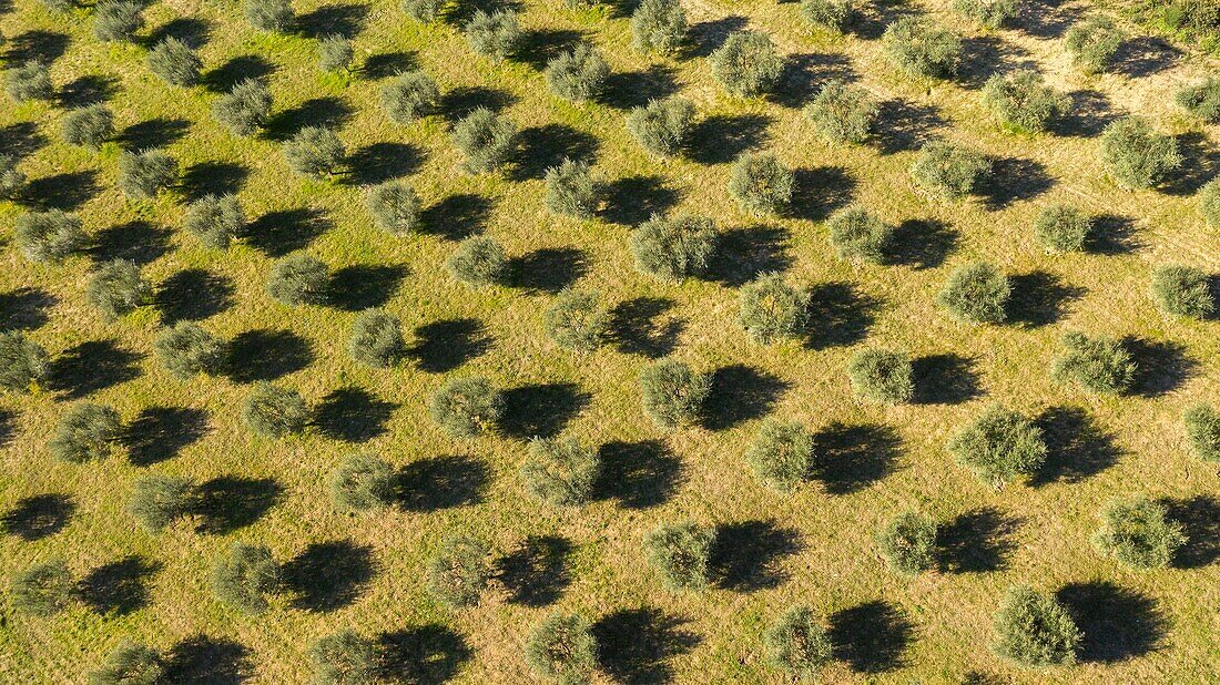 France, Vaucluse, Luberon Regional Nature Park, Lourmarin (aerial view)