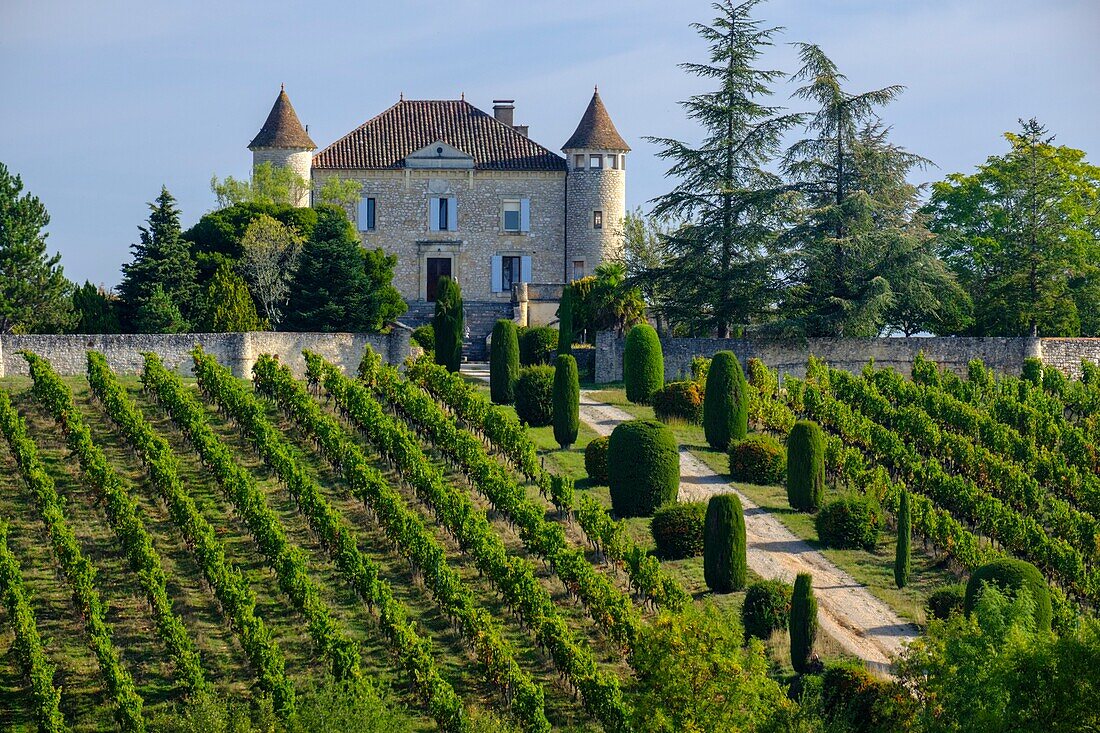 France, Quercy, Lot, Cahors vineyards, chateau de Chambert