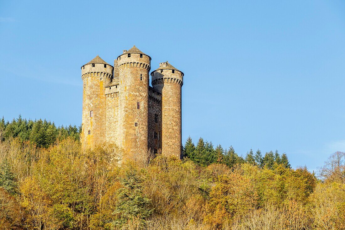 Frankreich, Cantal, regionaler Naturpark der Vulkane der Auvergne, Land von Salers, Tournemire, ausgezeichnet als die schönsten Dörfer Frankreichs, das Schloss von Anjony aus dem XVe Jahrhundert