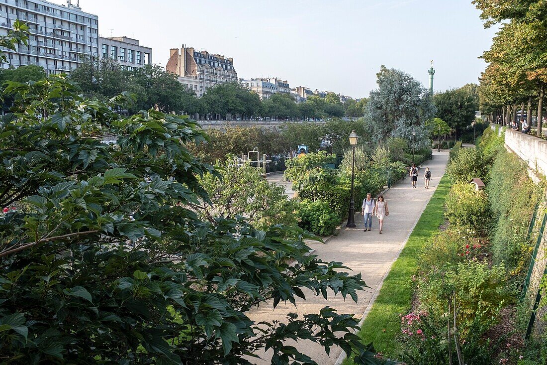 France, Paris, Port de l'Arsenal or Bassin de l'Arsenal links the Canal Saint-Martin to the Seine river, formerly a port of merchandise and since 1983 has become a marina