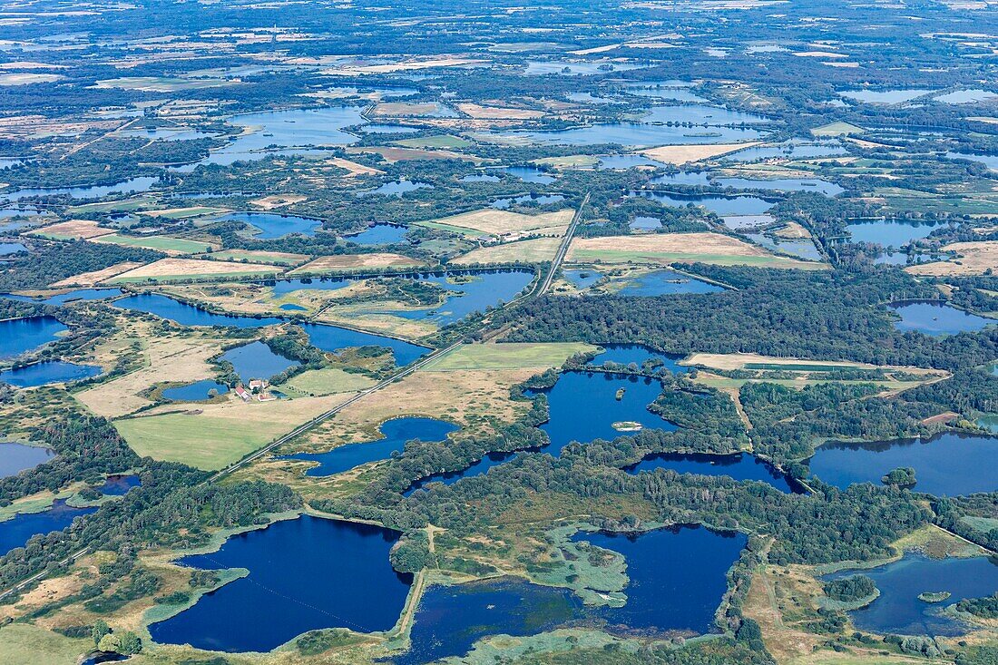 France, Indre, Mezieres en Brenne, regional nature reserve La Brenne ponds (aerial view)