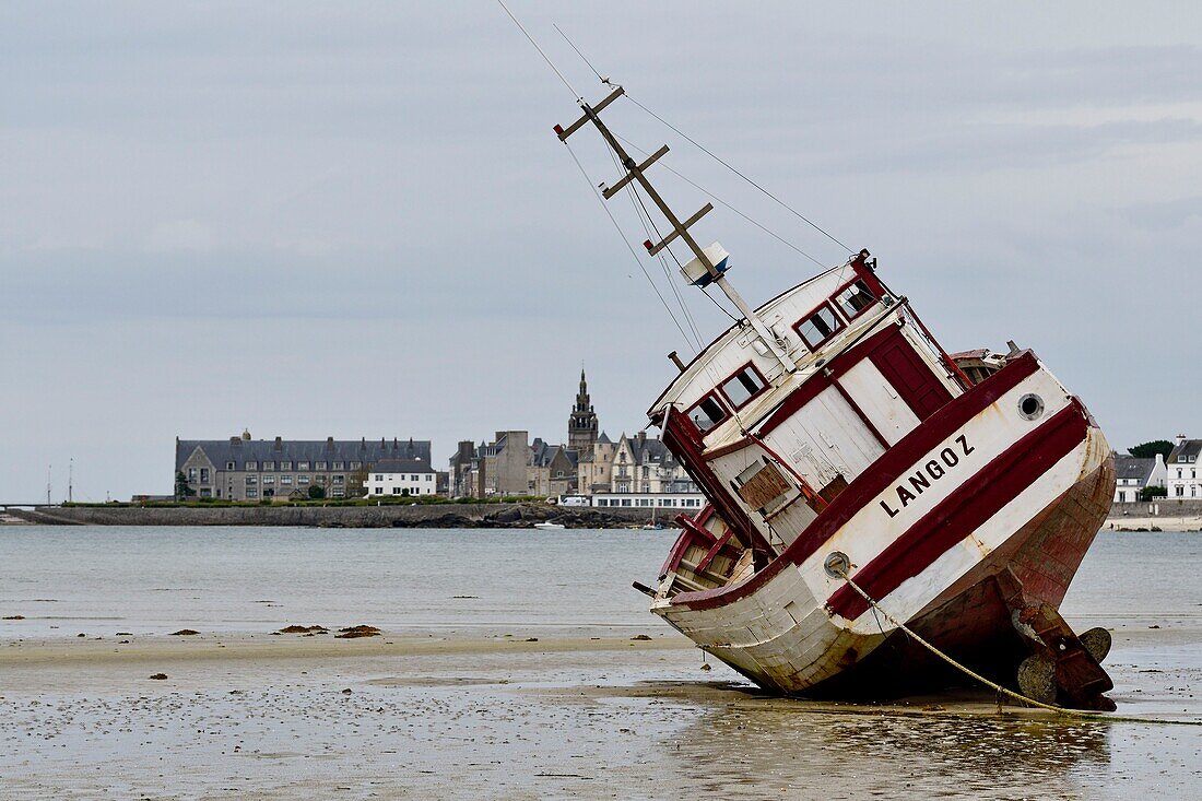 France, Finistere, Roscoff, old trawler at low tide