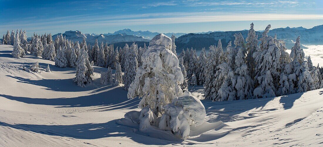 Frankreich, Haute Savoie, Massiv Bauges, oberhalb von Annecy Grenze mit der Savoie, das Semnoz Plateau außergewöhnlicher Aussichtspunkt auf die Nordalpen, Panoramablick auf den schneebedeckten Wald und Massiv Bornes und Mount White
